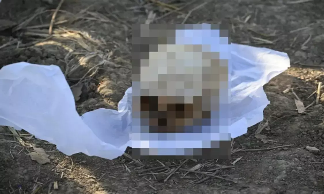 लापता लाली की आई याद, पुलिस ने कंकाल जब्त कर भेजा DNA टेस्ट को