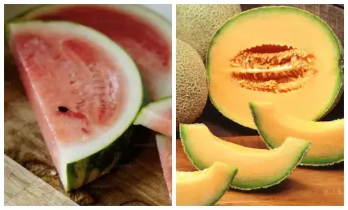 घर ले आएं हैं कच्चा तरबूज और खरबूजा? 5 देसी तरीकों से पकाएं, निकलेगा एकदम मीठा