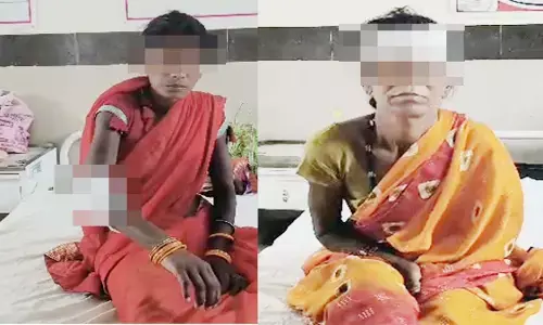 तेंदूपत्ता तोड़ने गए ग्रामीणों पर सूअर का हमला, तीन घायल