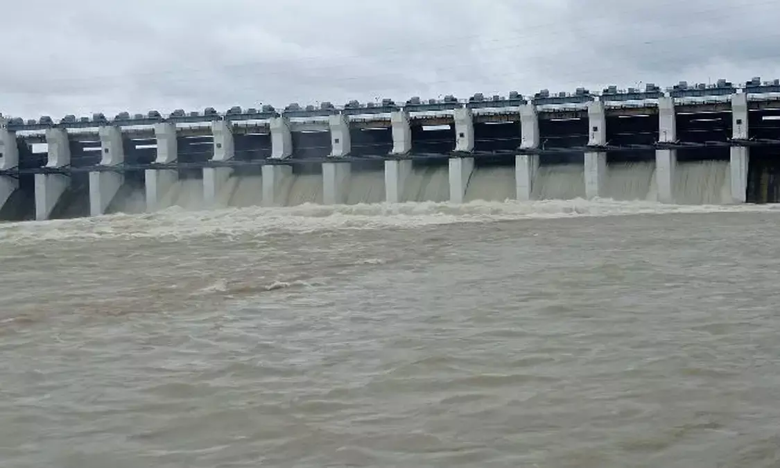 ERCP Project Rajasthan