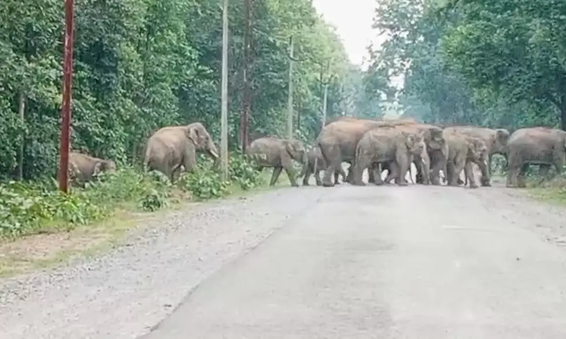 आंगन में सो रही दो महिलाओं को कुचला, मौके पर ही मौत