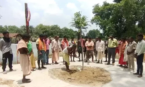 जंगल को बचाने के लिए आदिवासियों ने किया देवी- देवताओं के नाम पर पेड़ों का नामकरण जंगल को बचाने के लिए आदिवासियों ने किया देवी- देवताओं के नाम पर पेड़ों का नामकरण