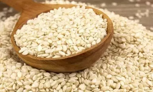 white sesame health benefits