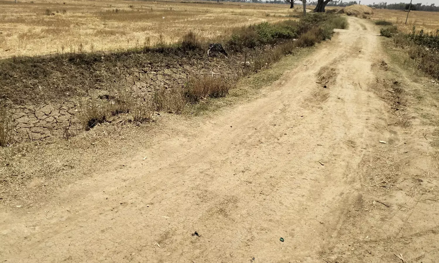 फतेहाबाद में तीन कामों में एक ईंट तक नहीं लगाई, अधिकारियों ने पूरी पेमेंट खाई