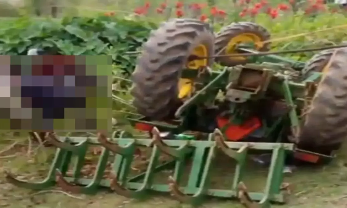 Chhattisgarh News, Road Accident, Ambikapur News