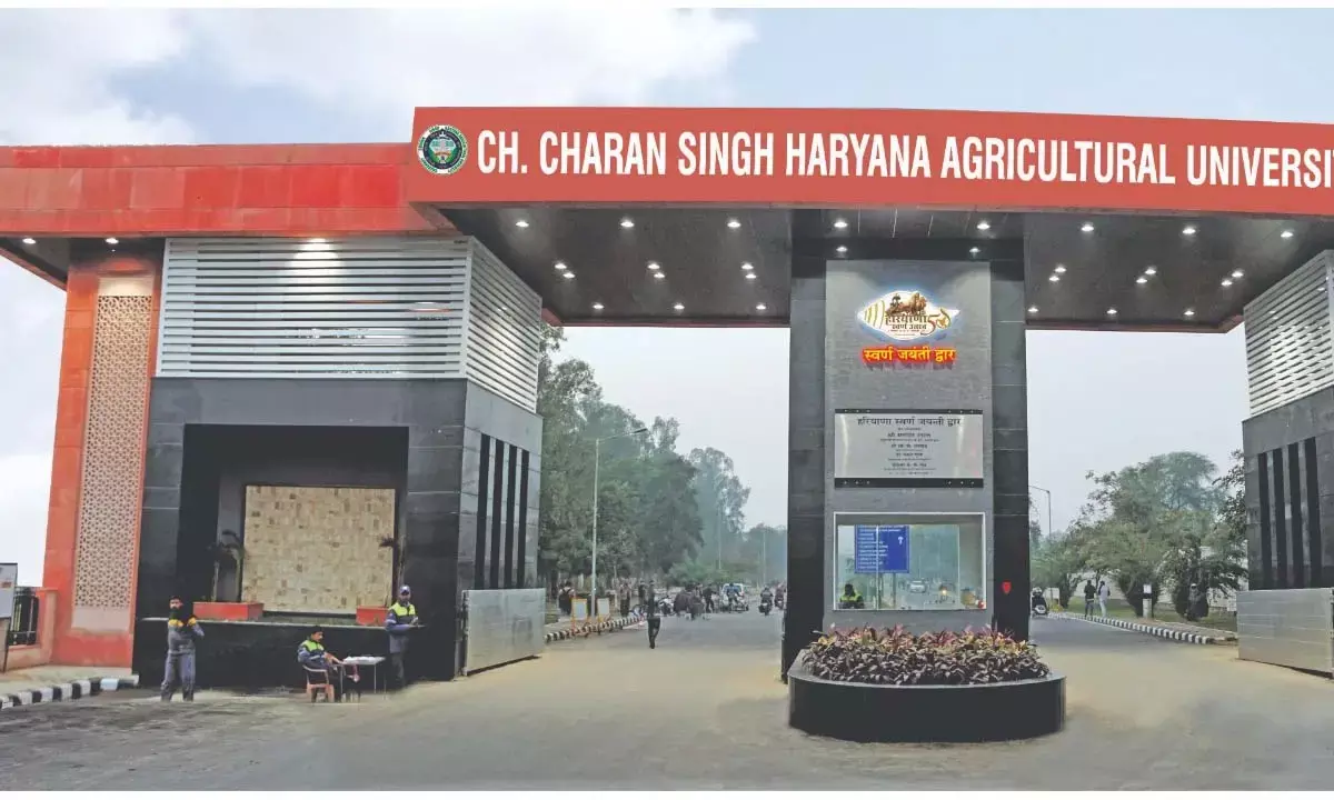 शैक्षणिक सत्र 2025-26 के लिए प्रवेश प्रक्रिया शुरू, 31 मई तक करें आवेदन