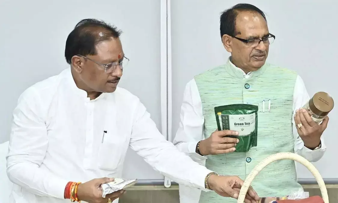Chhattisgarh News, CM Vishnu deo sai, Minister shivraj singh chauhan