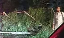 70 पेड़ उखड़े, 50 बिजली के खंभे और तीन ट्रांसफार्मर भी गिरे