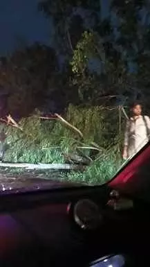 70 पेड़ उखड़े, 50 बिजली के खंभे और तीन ट्रांसफार्मर भी गिरे 70 पेड़ उखड़े, 50 बिजली के खंभे और तीन ट्रांसफार्मर भी गिरे