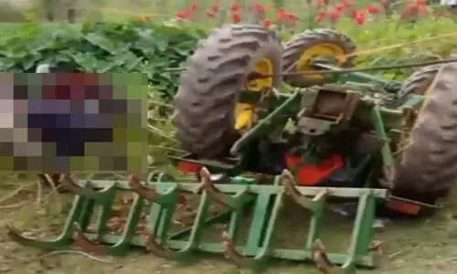 Chhattisgarh News, Road Accident, Ambikapur News