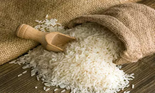 government paddy, rice Price, Raipur, Chhattisgarh News In Hindi government paddy, rice Price, Raipur, Chhattisgarh News In Hindi