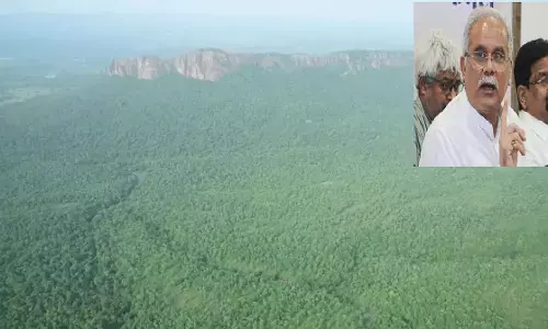 पूर्व सीएम भूपेश ने उठाए सवाल, पूछा- मौत के आंकड़ों में विरोधाभाष क्यों पूर्व सीएम भूपेश ने उठाए सवाल, पूछा- मौत के आंकड़ों में विरोधाभाष क्यों