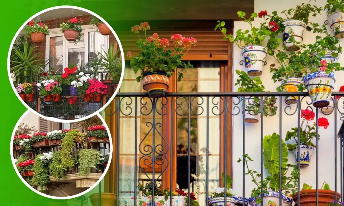 Noida Authority instructions for Flowers in Flats Balcony Wall