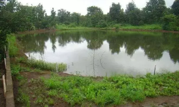 दोनों तालाब में गए थे नहाने, गहरे पानी में गए डूब