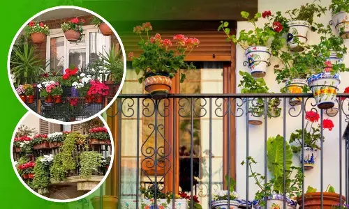 Noida Authority instructions for Flowers in Flats Balcony Wall