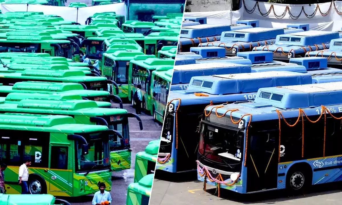 DTC Buses