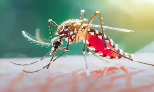 National Dengue Day 2025: डेंगू किन लोगों तक पहुंचता है? जानिए इसके लक्षण और बचने के उपाय