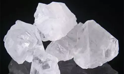 fitkari ke fayde in hindi