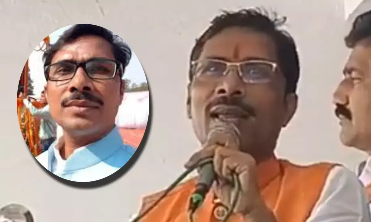 BJP MLA, Narendra Prajapati, BJP MLA Video, नरेद्र प्रजापति