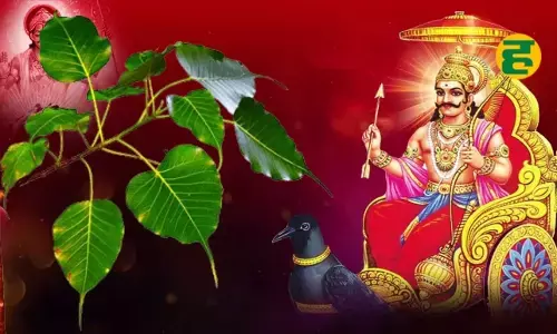 शनि जयंती पर भूलकर भी न करें ये गलतियां, भुगतने पड़ सकते हैं गंभीर परिणाम