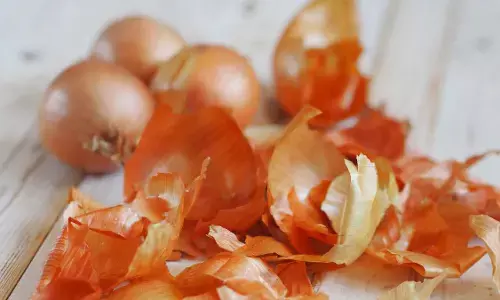 onion peels uses in hindi