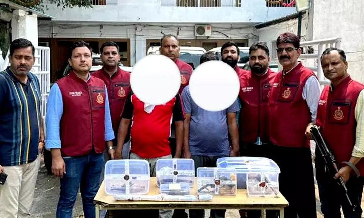 Delhi Police Arrested two Bangladeshi Criminals