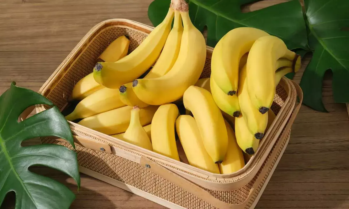 banana storage tips