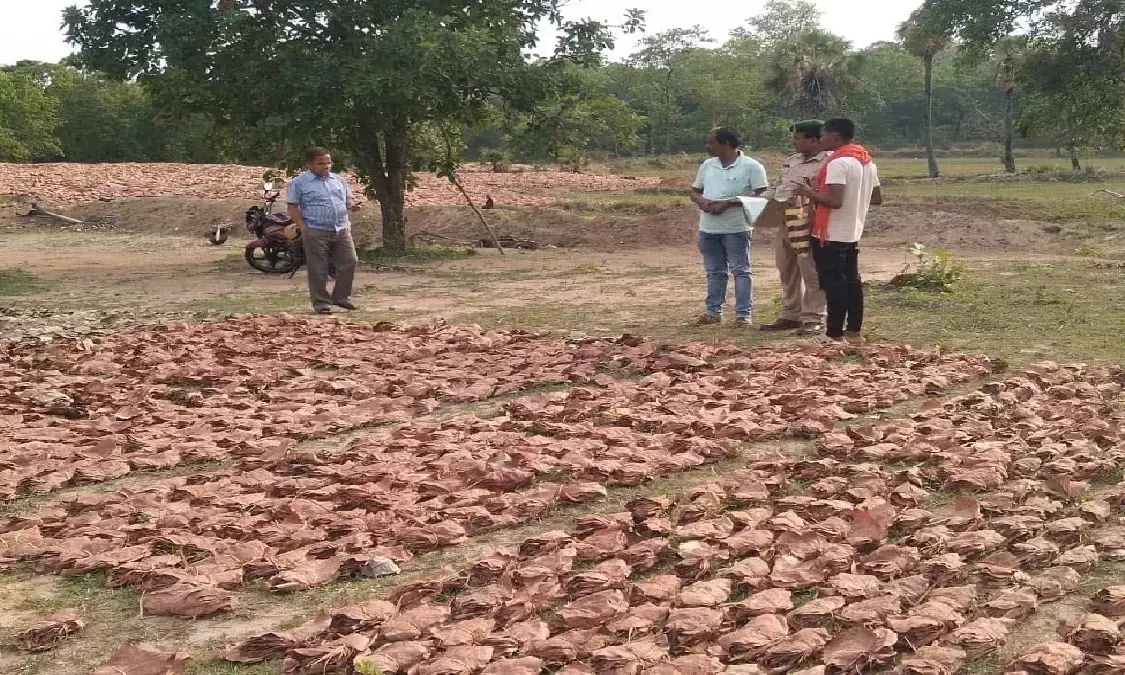 confiscated tendu leaves