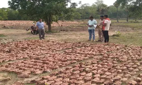 confiscated tendu leaves