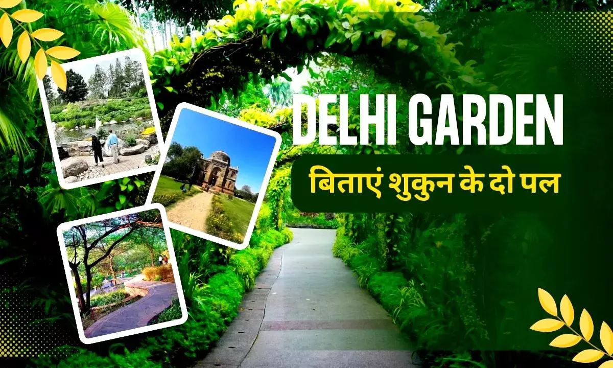 Delhi beautiful garden