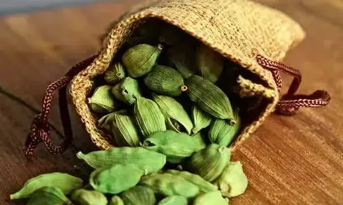 elaichi ke fayde in hindi