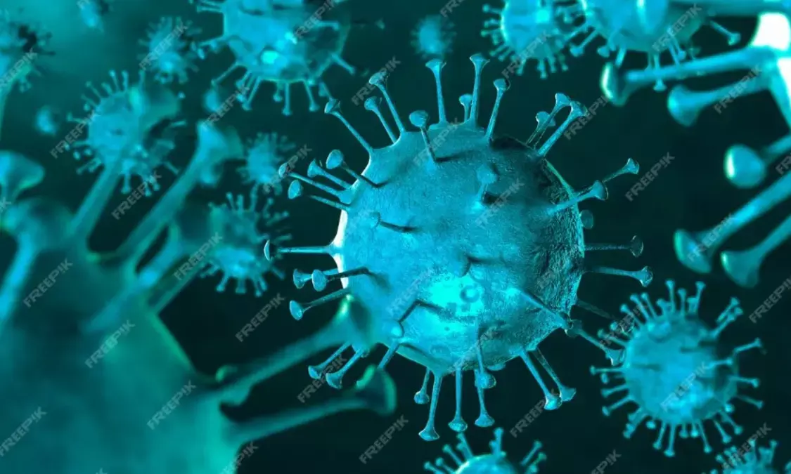 Corona Virus: फिर लौट आया कोरोना! दो मौतों के बाद देश में बढ़ी चिंता, ऐसे रखें खुद को सुरक्षित