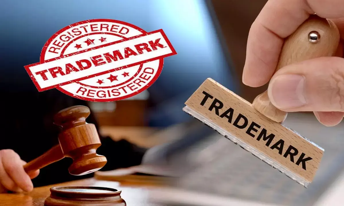 Trademark court case