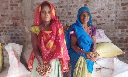 मप्र के महुआ से बनी चाय की चुस्कियां लेंगे लंदनवासी, जानें इसके स्वास्थ्य लाभ