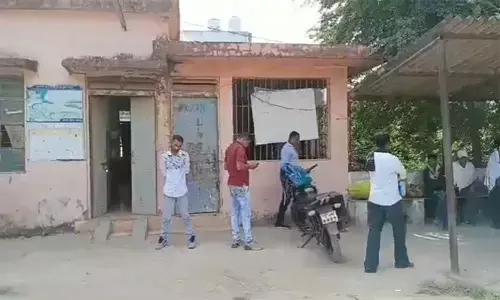 मधुमक्खियों के हमले में युवक की मौत: कई जगहों को मारा डंक, इलाज के दौरान तोड़ा दम