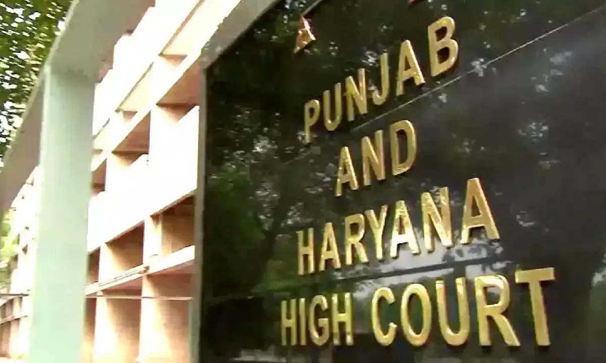 हाईकोर्ट ने रद्द की सामाजिक-आर्थिक आधार पर बोनस अंक देने की नीति, दोबारा मेरिट बनाने के आदेश