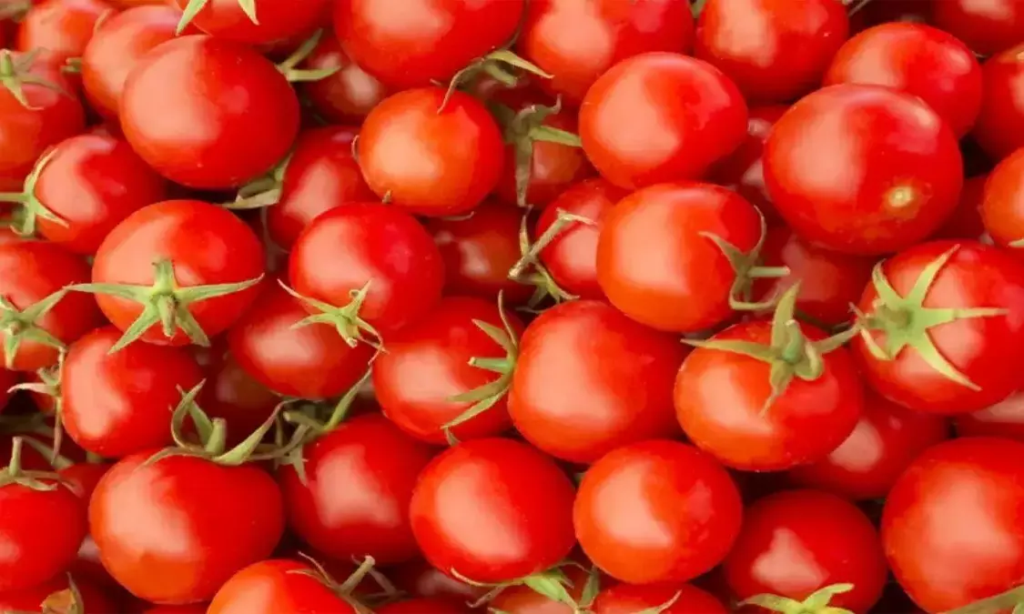 अब टमाटर को तरसेगा पाकिस्तान : छत्तीसगढ़ के किसानों ने भेजना किया बंद, बांग्लादेश भी नहीं भेजने का फैसला