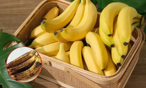 गर्मी में पड़ जाते हैं केले जल्दी काले? अपनाएं ये 6 आसान टिप्स और लंबे समय तक रखें फ्रेश
