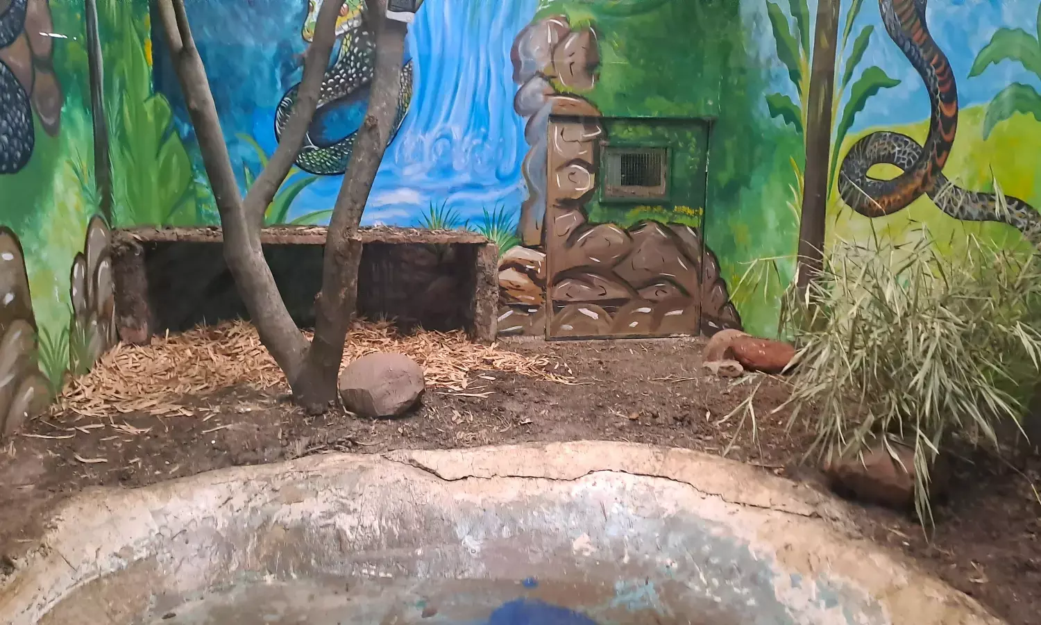 किंग कोबरा के दीदार दुर्लभ, मनमानी वसूली से पर्यटकों में मायूसी