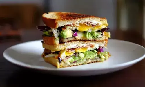 vegetable cheese sandwich recipe