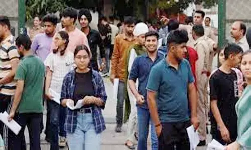 यूपीएससी ने पूछा :  सिगरेट के पीछे प्लास्टिक है या नहीं अदरक-पुदीना कैसे पेड़, पीकॉक टैरेंटुला पक्षी की खासियत