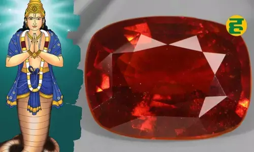 कब, किसे और कैसे धारण करना चाहिए राहु का गोमेद रत्न? जानें क्या है महत्व