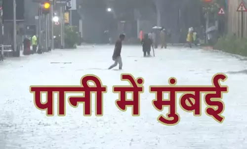पेड़ धराशायी, सड़कों पर पानी-पानी, 8 किमी लंबा जाम, कई इलाकों में हाई अलर्ट