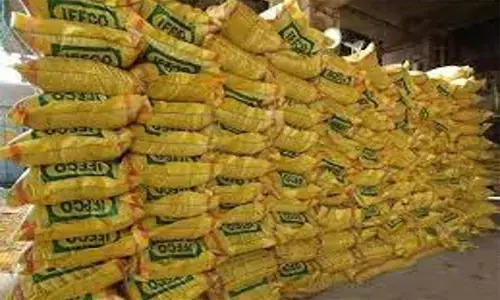 रूस-यूक्रेन युद्ध का असर : डीएपी की सप्लाई कम, सोसाइटियां खाली, अभी तक पहुंची सिर्फ 44 हजार टन