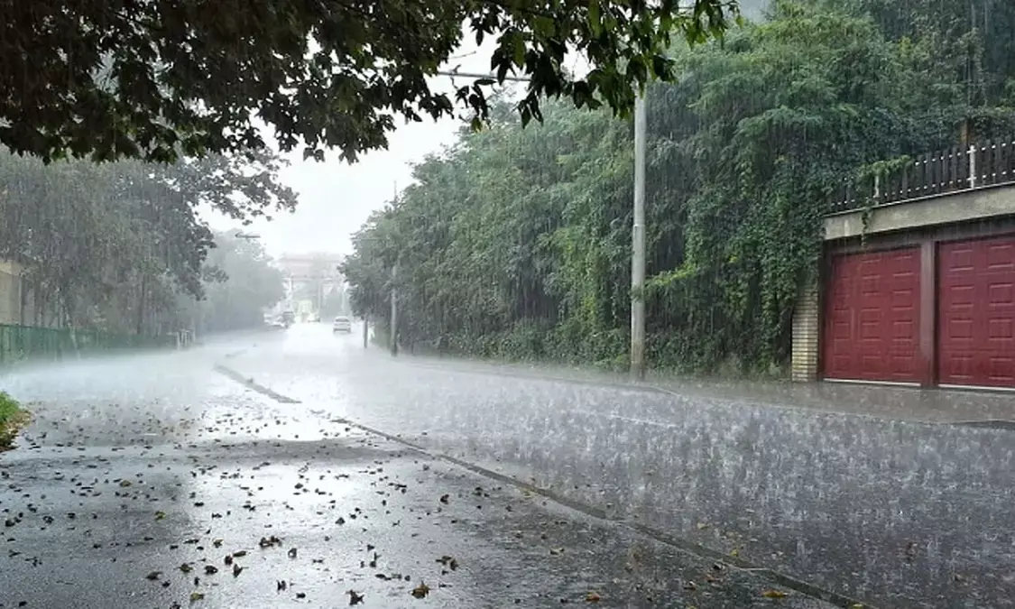 प्रदेश के कई जिलों में गरज-चमक के साथ बारिश की संभावना, मौसम विभाग ने जारी किया अलर्ट