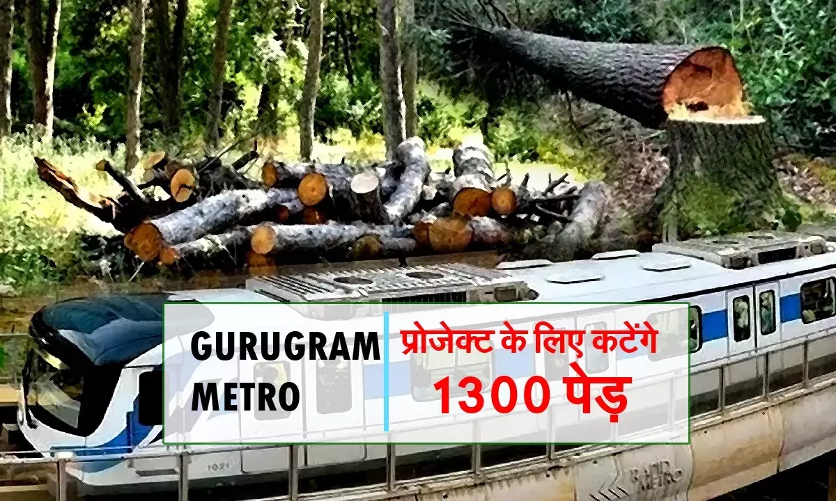 GMDA gets permission to cut 1300 trees for Gurugram Metro project