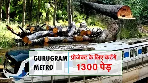 GMDA gets permission to cut 1300 trees for Gurugram Metro project