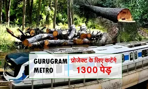 GMDA gets permission to cut 1300 trees for Gurugram Metro project