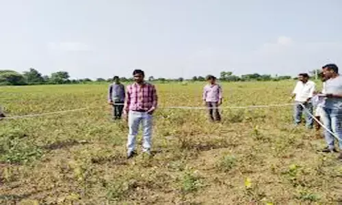 लक्ष्य तय :  राज्यभर के पटवारी उतरे खेतों में, हर दिन पांच बटांकन करने का आदेश