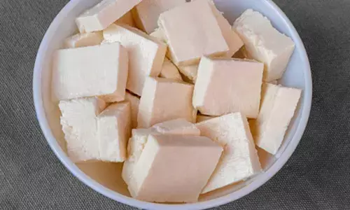 paneer purity test